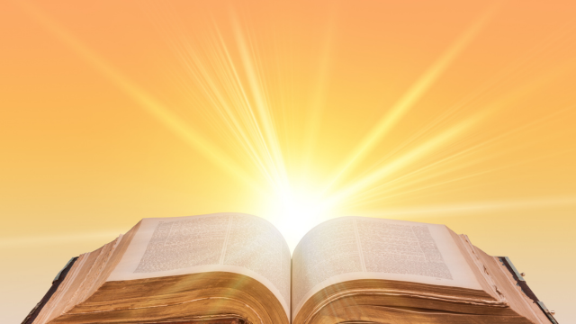 Visuel bonne dimension kiute (640 x 360 px) (2)